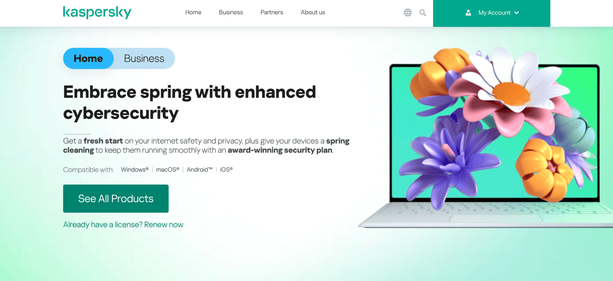 kaspersky page